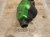Zrzut ekranu 2025-08-13 o 12.48.28.png