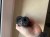 IMG_5878.jpeg