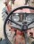 Case IH 844 International - Steering Wheel Cap